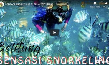 Snorkeling di Belitung|Snorkeling in Belitung|在勿里洞浮潜|الغطس في بيليتونج